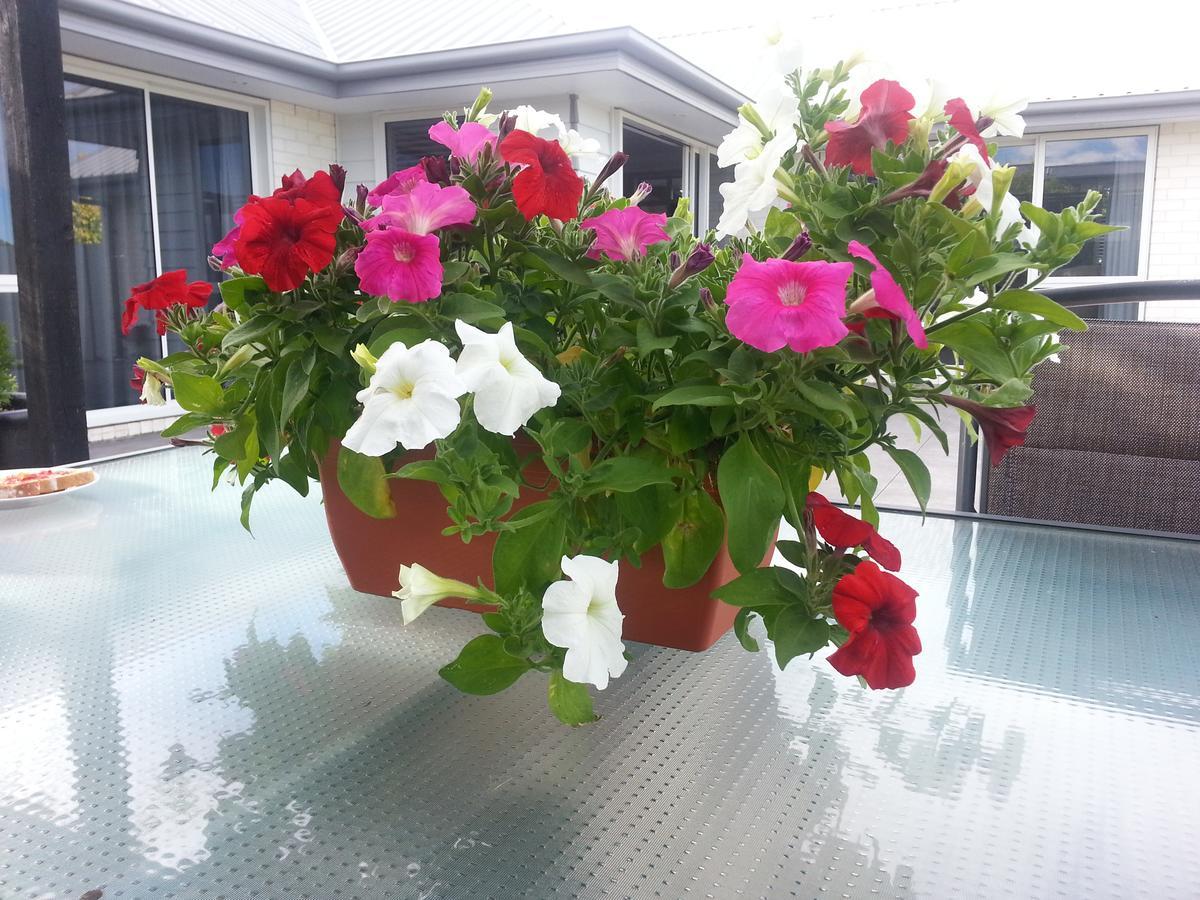 Courtenay B & B Kaiapoi Екстер'єр фото